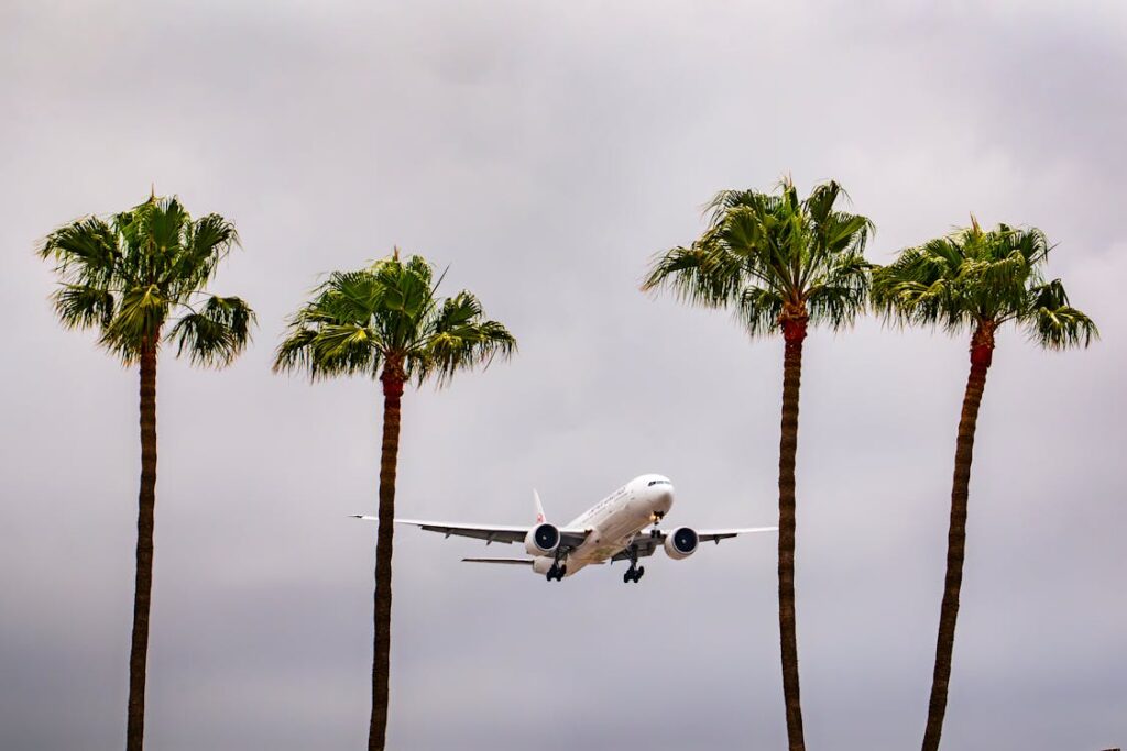 free-photo-of-flugzeug-nahert-sich-lax-inmitten-von-palmen