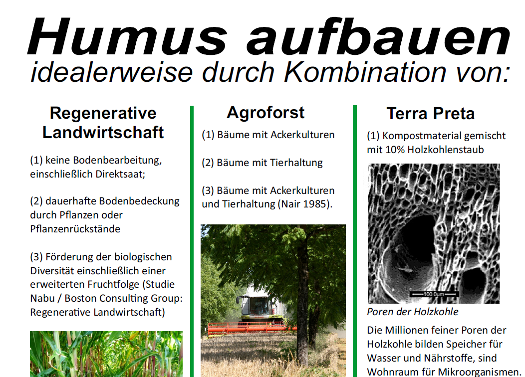 Bild-Humus