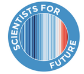 S4F-Logo
