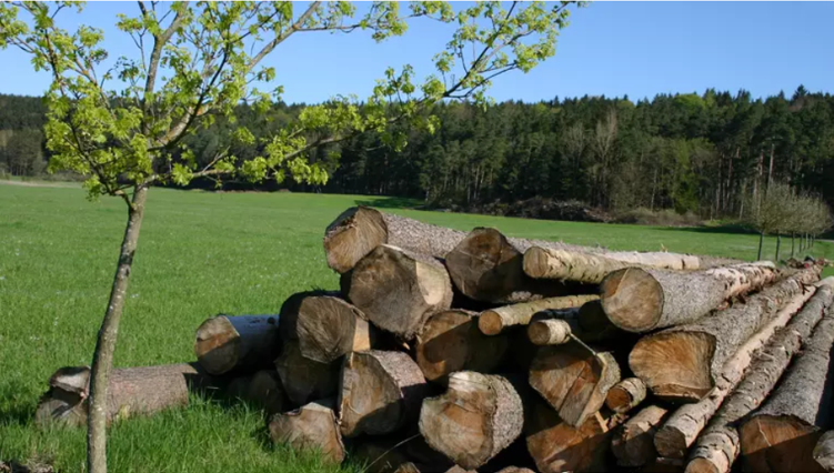 TopAgrar-Bild